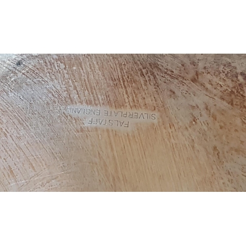 17 - Silver Plated / EPNS Collection inc; Large Oval Tray with Handles (30 x 40.5cm x 4cm) Beer Mugs, Win... 