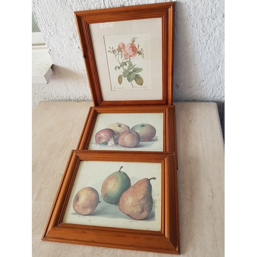 316 - Flowers and Fruit in Various Prints in Wooden Frames (33cm x 38cm, 35cm x 28.5cm, 35cm x 28.5cm)