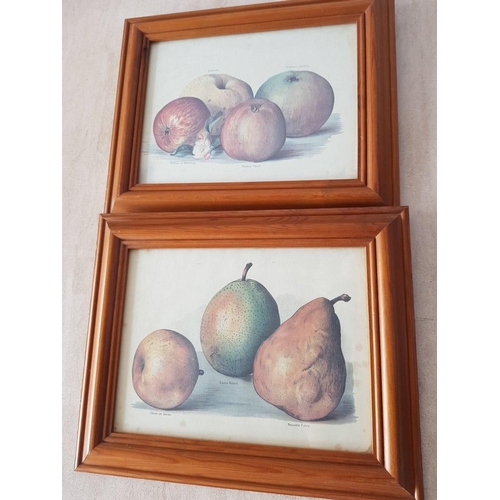 316 - Flowers and Fruit in Various Prints in Wooden Frames (33cm x 38cm, 35cm x 28.5cm, 35cm x 28.5cm)