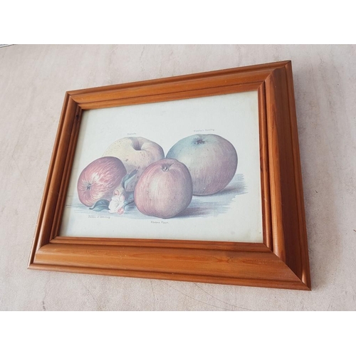 316 - Flowers and Fruit in Various Prints in Wooden Frames (33cm x 38cm, 35cm x 28.5cm, 35cm x 28.5cm)