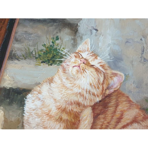 494 - Original Oil on Canvas of 'Scrathing the Cat' by Katerina Deligeorgi in Wood Frame, Overall 43 x 34c... 