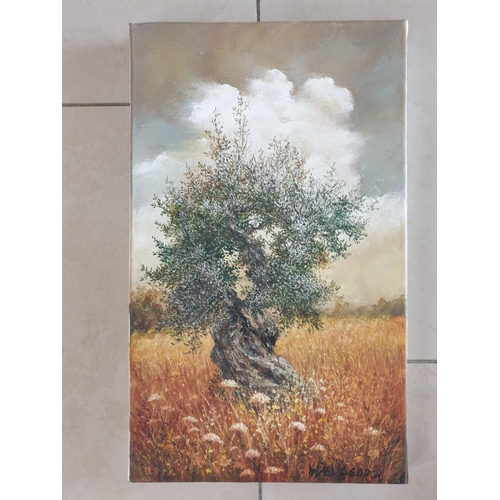 495 - Original Oil on Canvas of Olive Tree in Storm by Katerina Deligeorgi, Overall 30 x 50cm