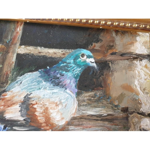 92 - Original Oil on Canvas of Pigeon by Katerina Deligeorgi, in Decorative Frame, 27 x 22cm