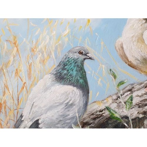 95 - Original Oil on Canvas of Pair of Pigeons by Katerina Deligeorgi, Overall 50 x 40cm