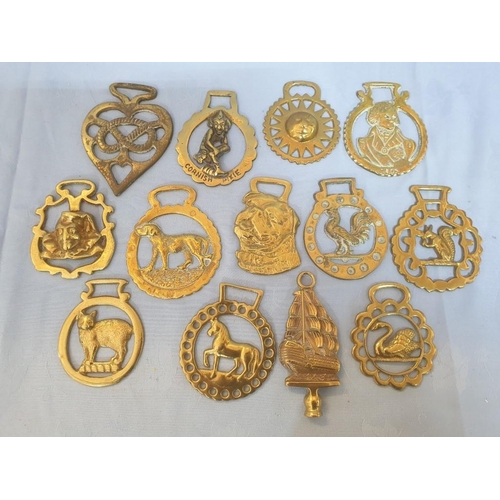 49 - Collection of 13 x Brass Horse Brasses
