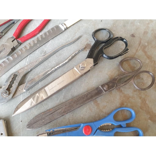 168 - Collection of Pocket Knives, Gillette Razor, Upholstery Scissors, etc
