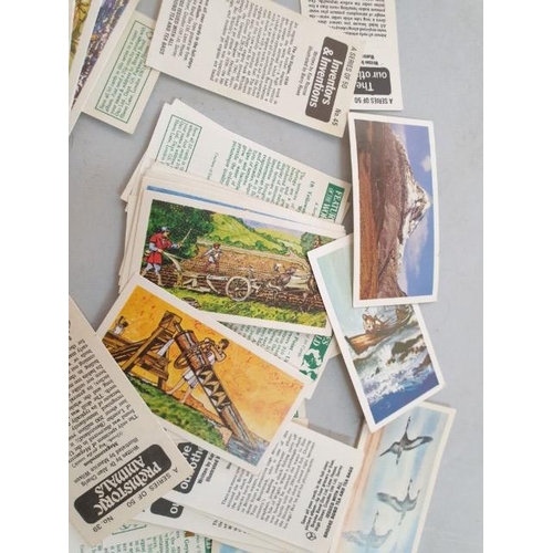 231 - Large Qty / Hundreds of Collectable Brook Bond Tea Cards