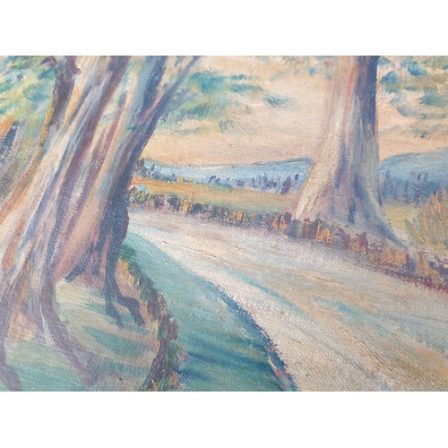 115 - Framed Oil on Board of Tree Lined Path, Signed Lower Right Corner 