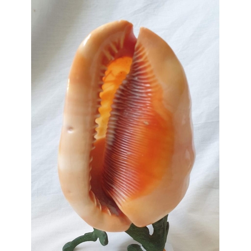 97 - Antique Carved Carnelian Conch Shell Cameo Lamp, Depicting 'Diana the Huntress' on Decorative Metal ... 