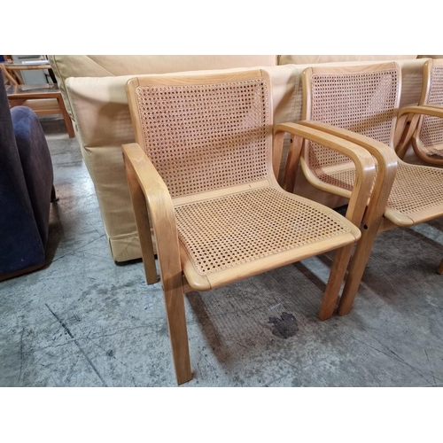 122 - Set of 6 x Light Wood Designer Armchairs with Cane Seat & Backrest (one a/f), Made in Italy by 'Oliv... 