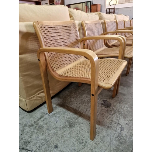 122 - Set of 6 x Light Wood Designer Armchairs with Cane Seat & Backrest (one a/f), Made in Italy by 'Oliv... 