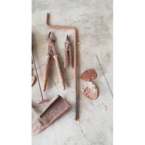 668 - Large Collection of Vintage Assorted Tools; Incl. Horse Shoes, Garden Tools, Shears, Branch Cutters,... 