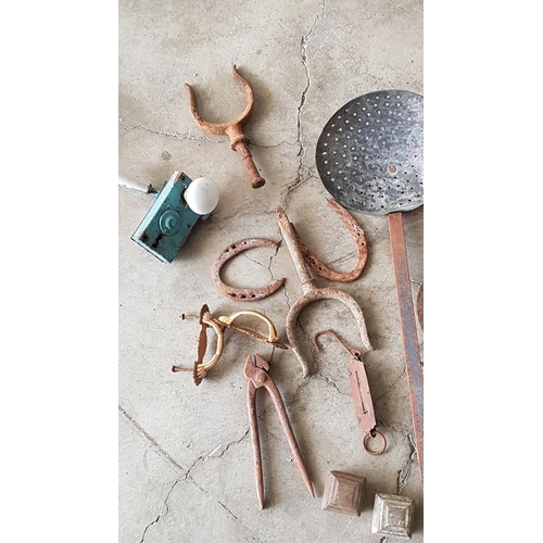 668 - Large Collection of Vintage Assorted Tools; Incl. Horse Shoes, Garden Tools, Shears, Branch Cutters,... 