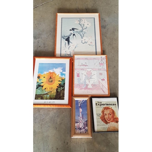 678 - 5 x Various Photo Frames