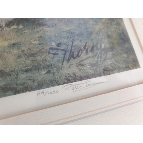 715 - Framed Signed Limited Edition (64/1000) Print of 'Winters End' by Peter Thorn (Cottage and Bridge Ov... 