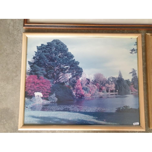 715 - Framed Signed Limited Edition (64/1000) Print of 'Winters End' by Peter Thorn (Cottage and Bridge Ov... 