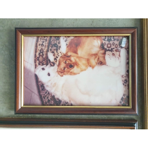 715 - Framed Signed Limited Edition (64/1000) Print of 'Winters End' by Peter Thorn (Cottage and Bridge Ov... 