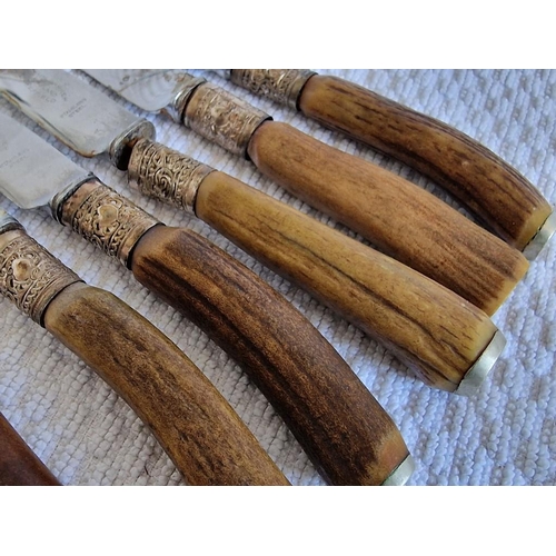 116 - Set of 6 x Fish Knives with 4 x Forks , Silver Plated with Bone Handle, Together with 6 x Forks and ... 