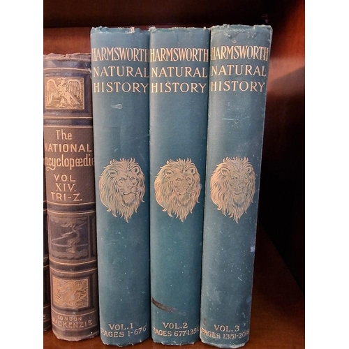 201 - 14 x Volumes of 'The National Encyclopedia', Together with 3 x Volumes of 'Harmsworth Natural Histor... 