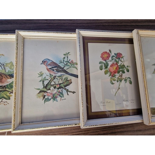 526 - Set of 5 x French Country / Baroque Style Picture Frames with Prints of Birds & Flowers, (Approx. 30... 