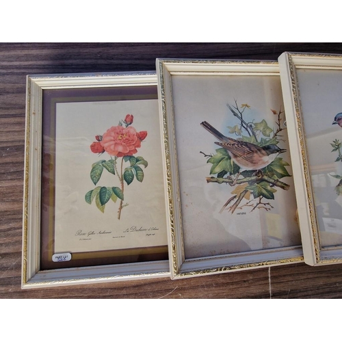 526 - Set of 5 x French Country / Baroque Style Picture Frames with Prints of Birds & Flowers, (Approx. 30... 