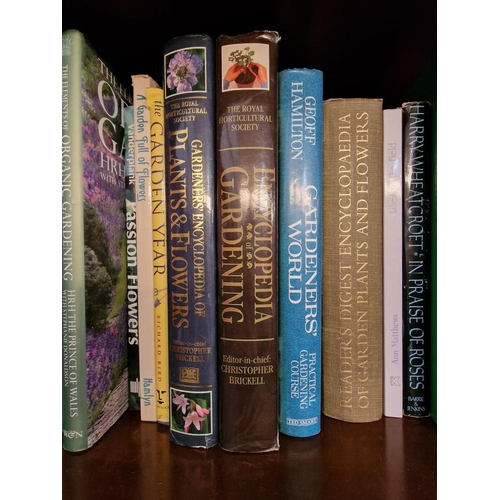 538 - Large Selection of Gardening Books