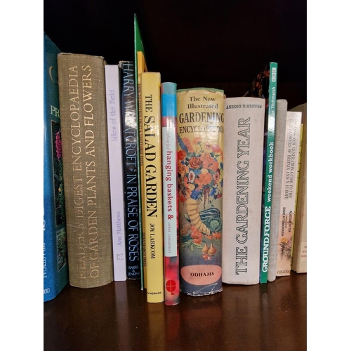 538 - Large Selection of Gardening Books