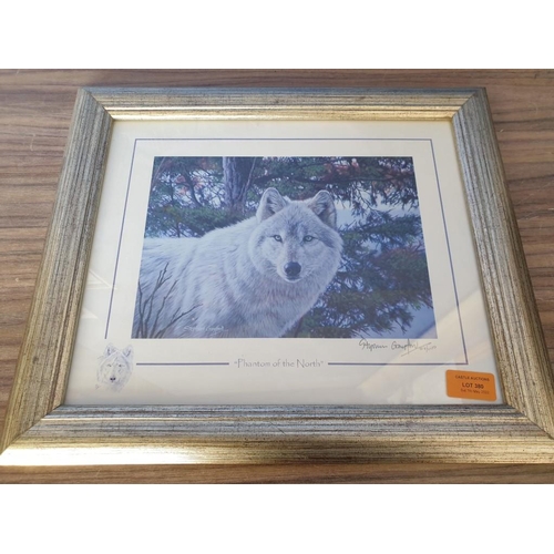 777 - Framed & Signed Limited Edition Stephen Grayford Print (704/1100) of Wolf, Titled 'Phantom of the No... 