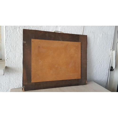 613 - Vintage Brass Relief Fire Screen (Approx. 58 x 48cm)