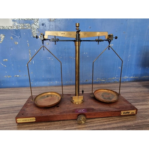 705 - Vintage Brass 'Oertling' Balance Scales with 2 x Copper Bans on Wooden Base, Marked 'H F 10194, 1958... 