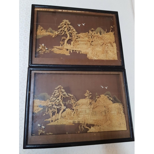 784 - Pair of Chinese Cork Carving Pictures with Oriental Scenes (52.5cm x 37.5cm each)