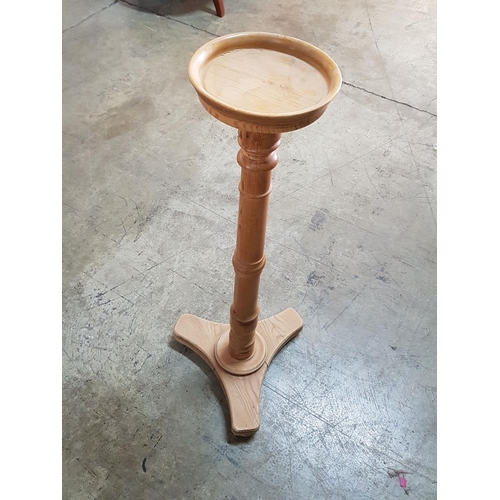 557 - Pine Wood Plate Stand (H:94cm)