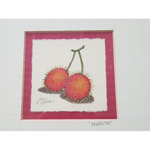 563 - Tropical Fruit Original Mini Pictures Sigurd by Artist in Wooden Square Frames (18.5 x 18.cm each), ... 