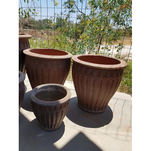 198 - Collection of 6 x Matching Terracotta Plant Pots in Various Size