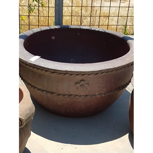 199 - 5 x Decorative Flower Pots (Stone/Terracotta) Different Sizes and Design (5)