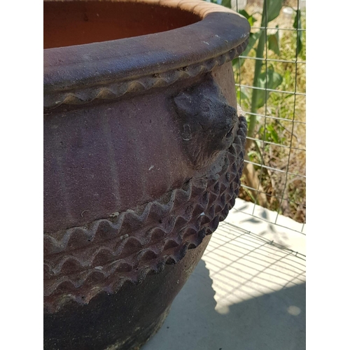 200 - Large Terracotta Decorative Plant Pot (Ø59cm x H:44cm)