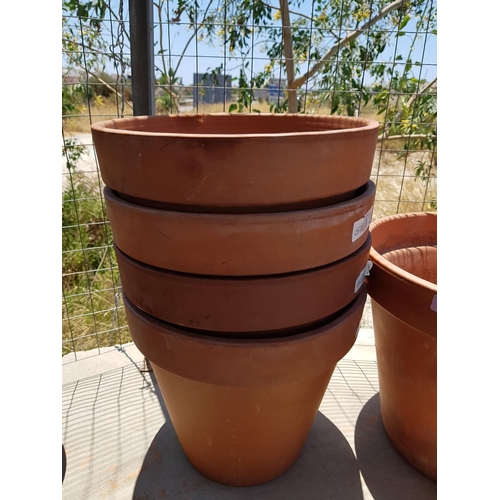 242 - Collection of 6 x Terracotta Plant Pots (1 x Large, 4 x Medium and 1 x Small)