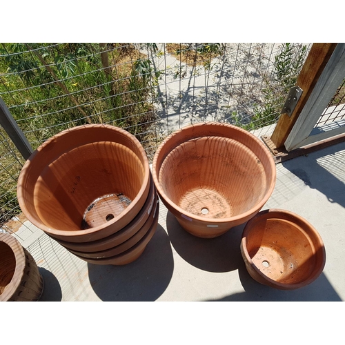 242 - Collection of 6 x Terracotta Plant Pots (1 x Large, 4 x Medium and 1 x Small)