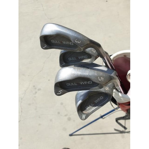 409 - Small Golf Bag with Metal Stand inc; 5 x Golf Clubs