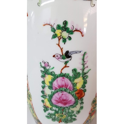 192 - Hand Painted Chinese Porcelain Vase (H:32cm)