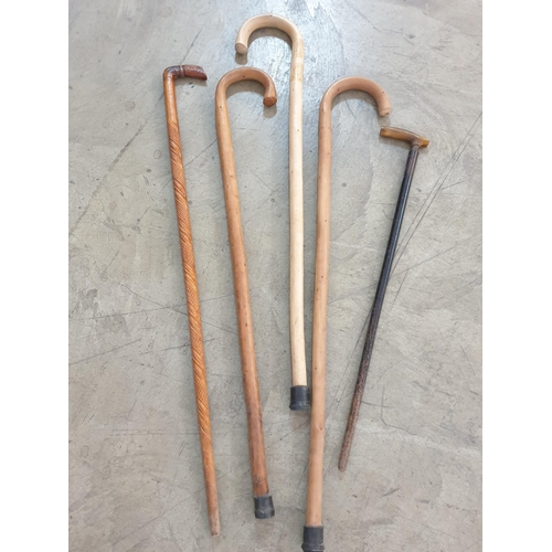 173 - 5 x Walking Sticks with Different Design (L:85.5cm, L:91cm, L:93.5cm, L69cm and L:88cm)