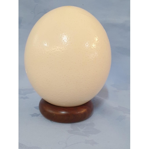 82 - Hand Craft Ostrich Egg, African Pattern (H:15cm)