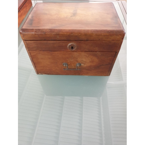 28 - 19th Century Golden Walnut Jewellery & Keepsake Box (23.5 x 16.5 x 16cm) with Late Victorian Cedar, ... 