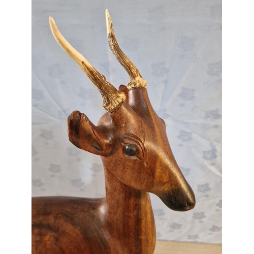 23 - Large Solid Wood Carving of Deer with Actual Horns, (Approx. H: 72cm)