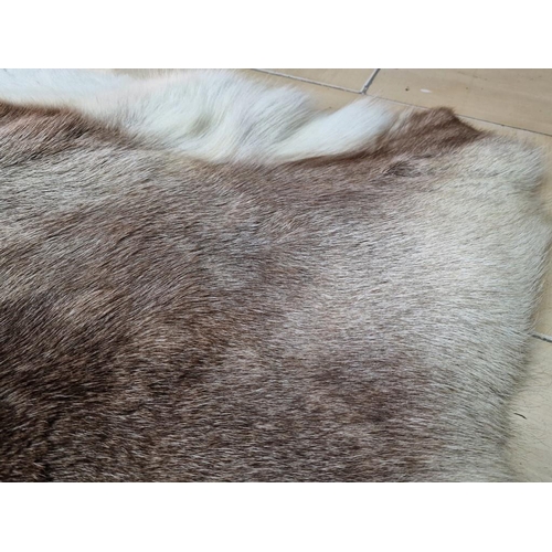 143 - Animal Skin / Hide Fur Rug , (Approx. 130 x 107cm Overall)