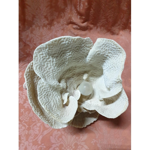 129 - Vintage Natural Sea Table Lamp