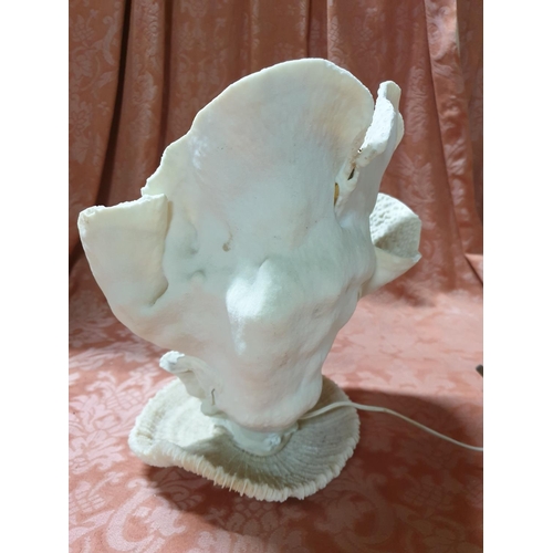 129 - Vintage Natural Sea Table Lamp