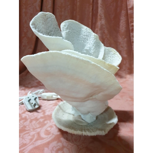 129 - Vintage Natural Sea Table Lamp