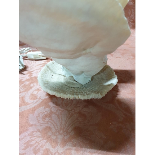 129 - Vintage Natural Sea Table Lamp