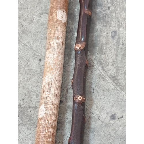 129 - Hand Made Walking Sticks Shepherds Sticks